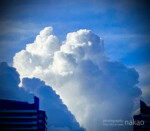夏の雲 clouds in summer 2020, the shape like twins