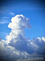 夏の雲 龍が首を上げているように見えます cloud in summer 2020, look like a huge dragon or gozilla