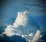 夏の雲 clouds in summer 2020, monster frog facing forward